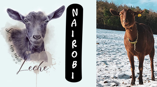 superior nairobi