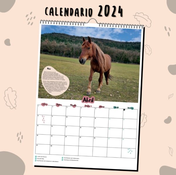 Calendario 2024 - Imagen 2