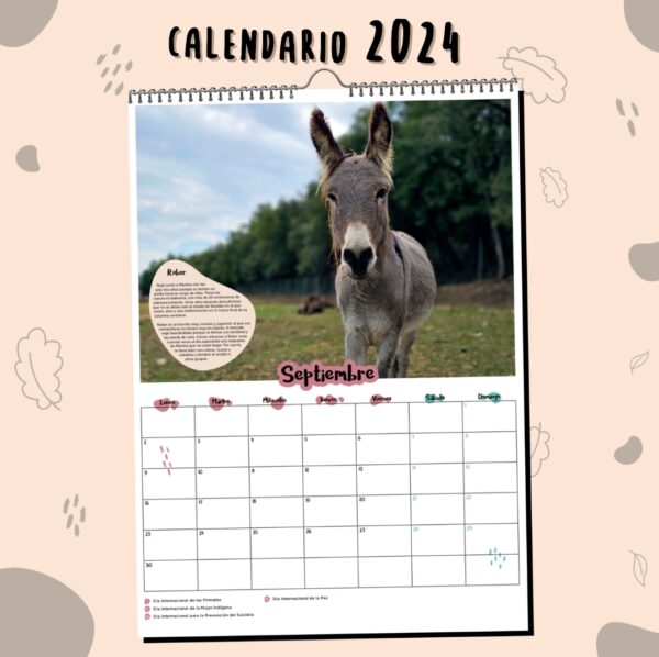 Calendario 2024 - Imagen 3