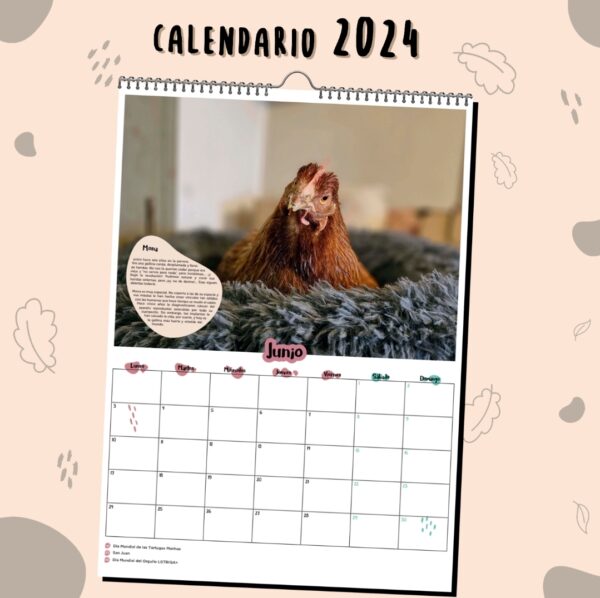 Calendario 2024 - Imagen 4