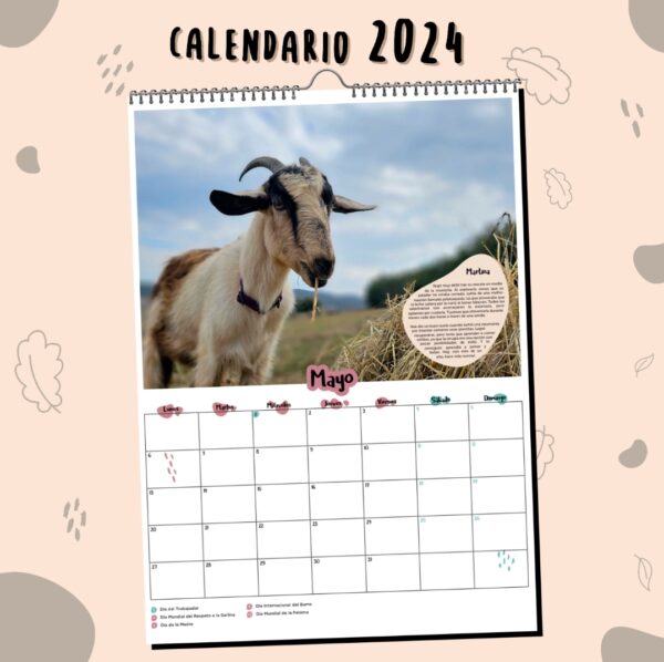 Calendario 2024 - Imagen 5