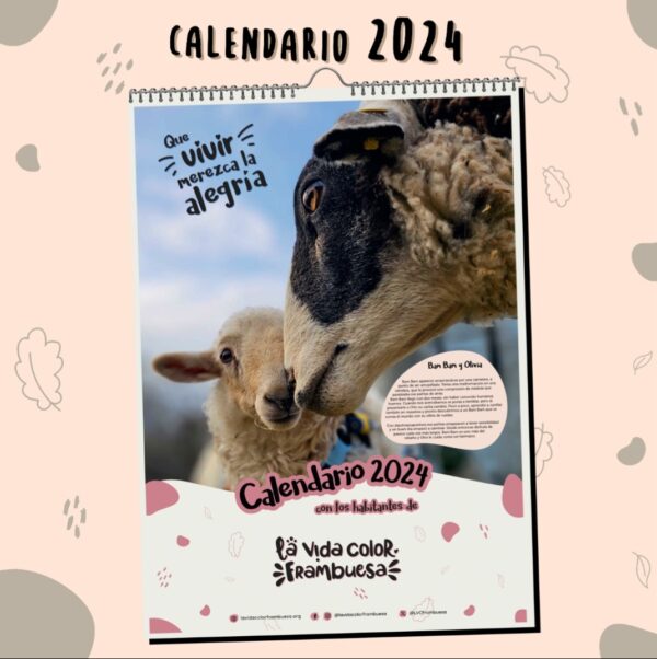 Calendario 2024