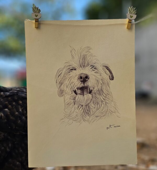 Lámina original Putxi