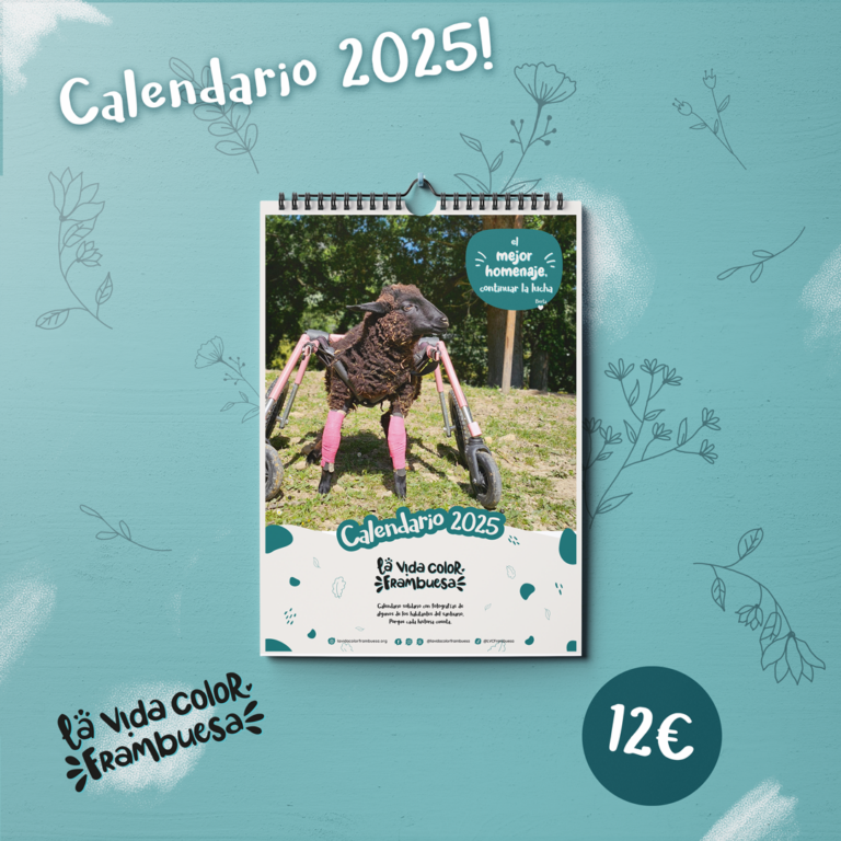 Calendario 2025