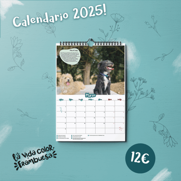Calendario 2025 - Imagen 3