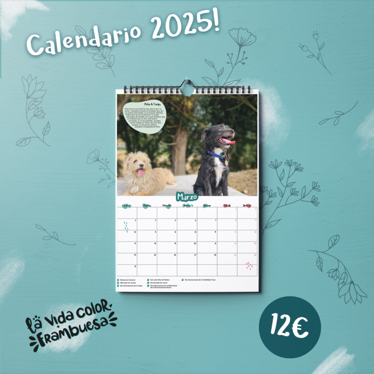 Calendario 2025 - Imagen 3