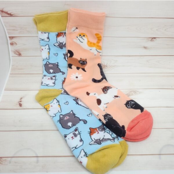 Calcetines gatetes