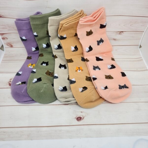 Calcetines gatos
