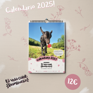 Calendario 2027